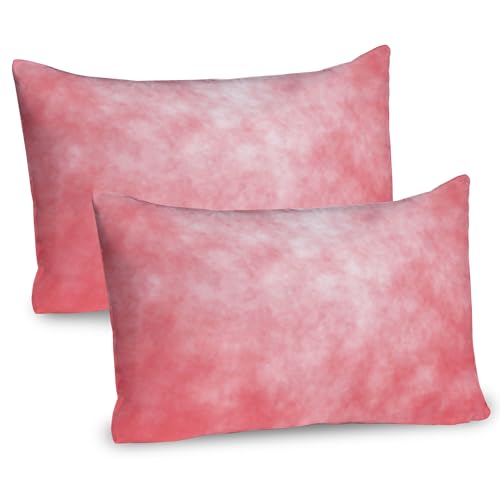 Ambesonne Coral Pillow Sham Set of 2, Pale Spring Watercolor Design Girlish Tie Dye Effect Print Abstract Image, Quality Microfiber Bedding Item for All Seasons, 36