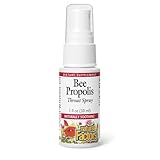 Natural Factors, Bee Propolis Throat Spray, Helps Soothe a Sore Throat and Support Energy Levels, 1 oz (100 servings)