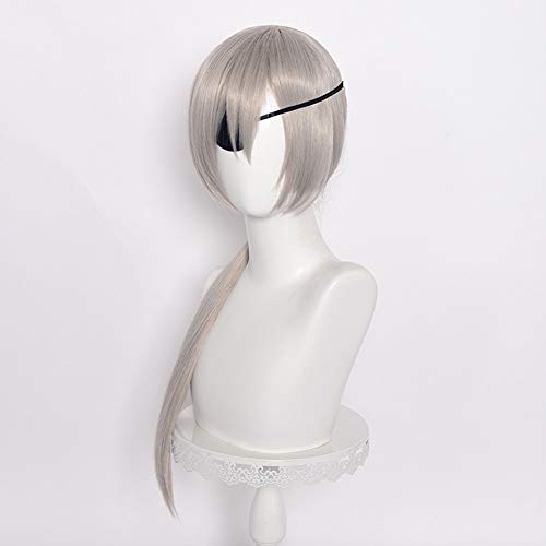 Image of LABEAUTE Long Silver Wig + Eye Patch for Girls Women Cosplay Wig Anime Halloween Party Hair With Ponytail + Cap
