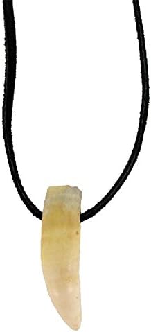 Alligator Tooth Real Gator Necklace Original Swamp People Magic Voodoo New Orleans Bayou
