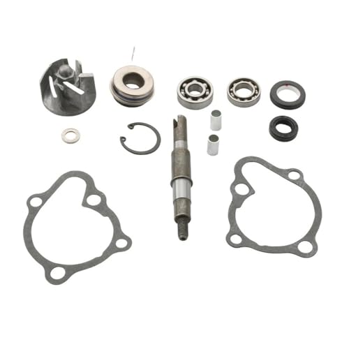 Kit réparation d'eau haute durabilité pour GTS 300 Joymax