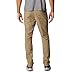 Columbia Men's Rapid Rivers Pant, flax, 40W x 30L