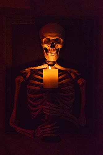 Framed 3D Life-Size Skeleton Torso Holding Flameless Candle