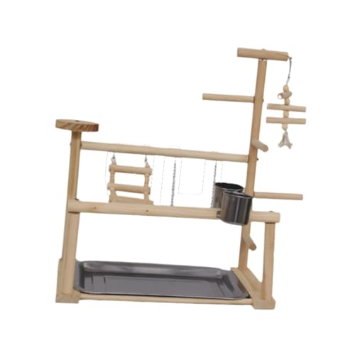 Perchoir en bois pour perruches calopsittes inséparables aire de jeux