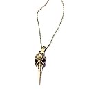 zoologie tu kl klausur  Royal Swan Halskette mit Rabenschädel, bronzefarben, Steampunk, Halloween, Gothic, Schwermetall, Zoologie, in Geschenkbeutel