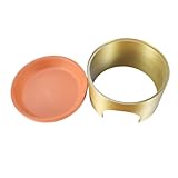 Reptilienhöhle | 2-in-1 Eidechsen-Wasserschale – Schlangen-Wassernapf | für Haustiereltern, Naturpädagogen, Gemeinschaftsunterkünfte, Heimatgeschäft, Wissenschaftsunterricht, pädagogische Aktivitäten