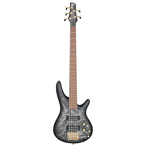 Ibanez SR Standard 5-string Electric Bass - Black Ice Frozen Matte