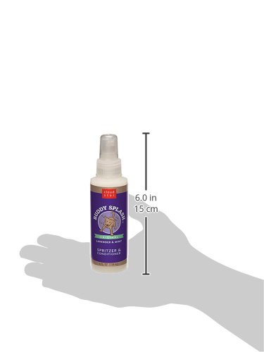 https://m.media-amazon.com/images/I/31UtuVQprBL._SL500_.jpg