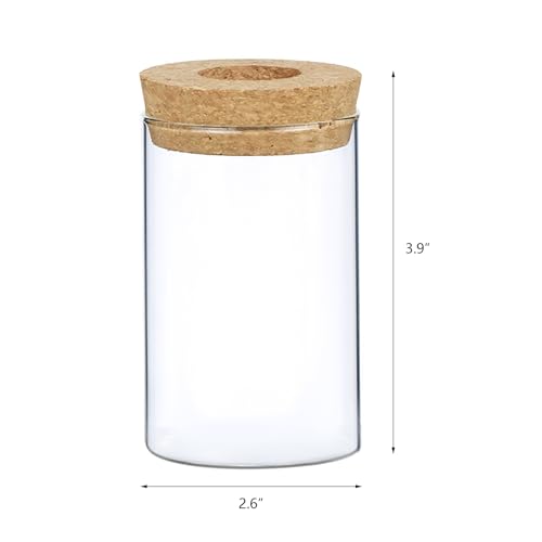 Feoowv Clear Glass Planter Vase With Wooden Lid And Bamboo Stand For Hydroponic Plants thumb #1