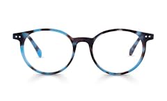 Sky Blue Tortoise