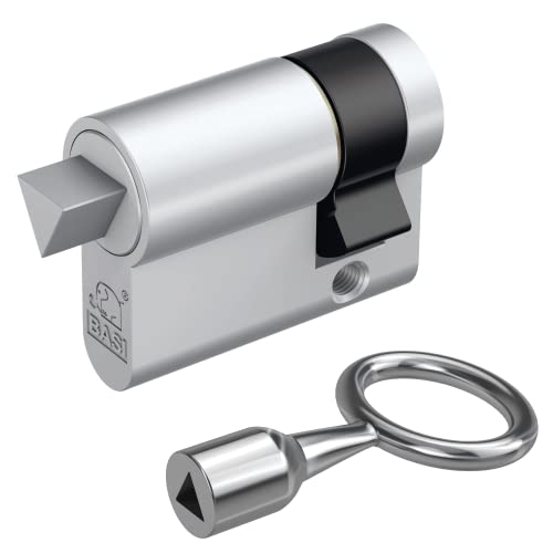 BASI | Dreikant Halbzylinder 10/30 mm mit passenden Dornschlüssel | Dreieck Zylinder | 8 mm außenliegend | für Absperrpfosten Schaukästen Feuerwehr Müllbehälter Schlüsselschalter