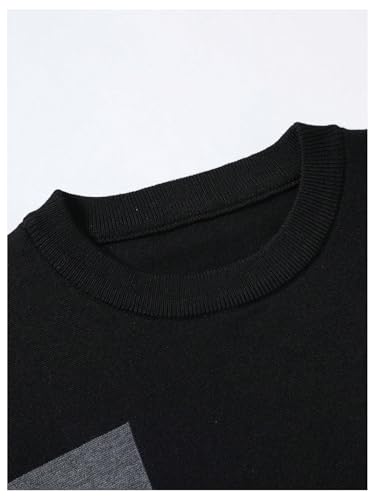 WDIRARA Men's Color Block Crewneck Sweater Long Sleeve Knitted Casual Pullover Tops4