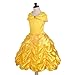 Dressy Daisy Toddler Girls' Princess Yellow Gold Ball Gown Birthday Party Fancy Dress Up Halloween Costume Size 2T to 3T