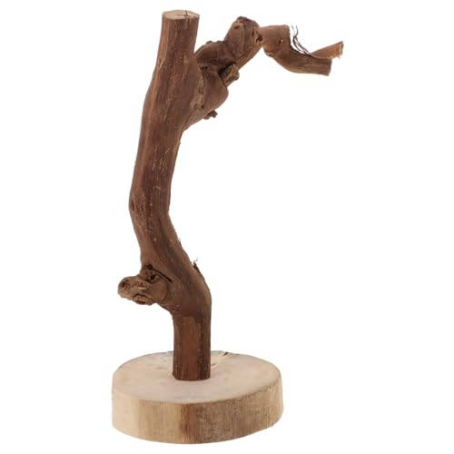 HANABASS Soporte para Loros De Madera Natural con Base Estable Rama De Árbol De 8 Pulgadas para Entrenamiento Y Juego De Pájaros Percha Multifuncional para Periquitos Y Cacatúas