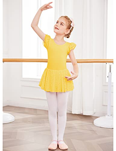 Image of Arshiner Girls Ruffle Sleeve Ballet Dance Dress Tutu Skirted Leotard