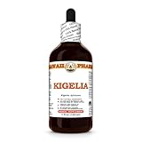 Kigelia (Kigelia Africana) Dry Fruit Tincture, Made in Hawaii, All Natural, Vegan, Pure Liquid Extract - 4 fl.oz