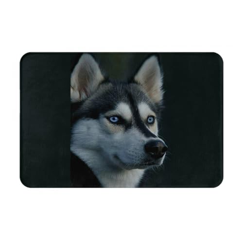 ���փ}�b�g �V�x���A���n�X�L�[ �� ���� ���O ����~�� �􂦂� �k���� �t�����l�� �z������ �h�L �R�� ���� ������� 40×60cm �o�X�}�b�g �L�b�`���}�b�g