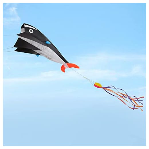 VGAGV 3D-drake stor delfin bris stranddrakar med enorm ramlös mjuk parafoliegalle, present till barn, familj, 100 x 500 cm, delfin