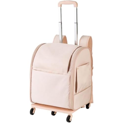 Fiozwea LX^[tLƌpybgL[obOA܂肽ݎAȃXy[XAg[ƃNbVtAsAUAAEghAAʋCA|[^uAUh~ɕ֗ (sN)