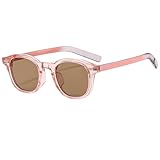 Teumire Classic Small Round Sunglasses for Women Men Retro Circle Style Tinted Sun Glasses(Pink/Brown)
