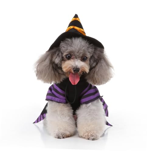 Disfraz de Bruja para Perros Talla L BCOATH miniatura 3