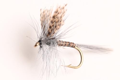 Blue Wing Olive Quill Gordon Dry Fly, 6-Pack (14#), Natural