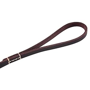   4FT-5FT-6FT-Geninue-Leather-Leash-for-Small-to-Medium-Dogs-Training-and-Walking-Color-BlackBrown