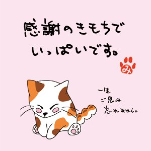 Amazon | 松田園（MATSUDAEN） にゃんこ緑茶ティーバッグ「感謝の  