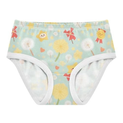Girls' Underwear Flowers Floral Dandelion Star Toddle Brief Panties 2-8 Years 20300571