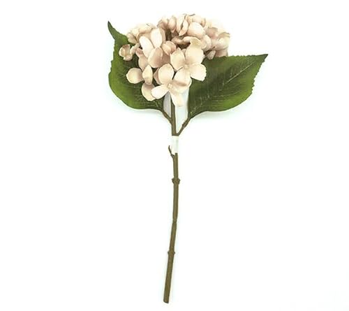  VNt[ w\tgnChWA z N[ R1099-037x