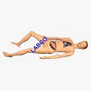 Labgo Nursing Manikin Combination Male & Female With Organ 010