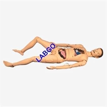 Labgo Nursing Manikin Combination Male & Female With Organ 026
