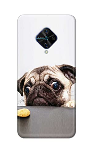 Image of PRINTFIDAA� Printed Hard Back Cover Case for Vivo S1 Pro Back Cover (Pug Dog) -2808