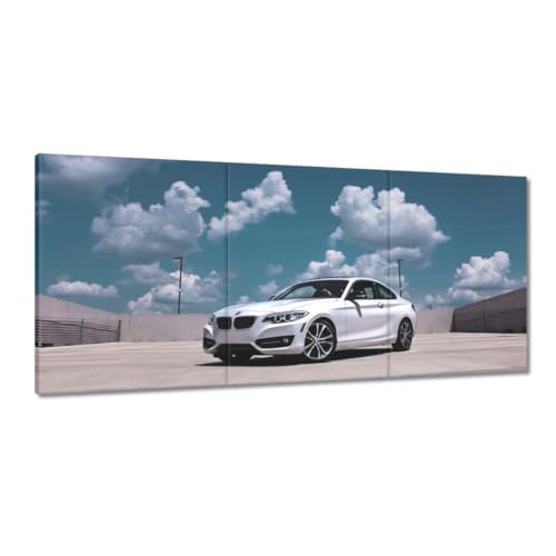 Tableau voiture blanche 150x70cm pour salon moderne