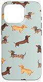 Doxie Depot | Cute Wiener Dog Gifts