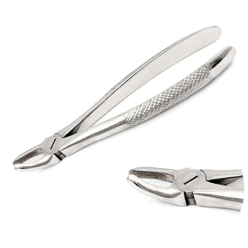 PRECISE CANADA: EXTRACTING Forceps MD2 Upper 1ST 2ND and 3RD MOLARS Mead Universal