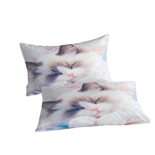 Housse de couette Ragdoll Cats fermeture éclair lit king size