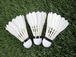 WoFLoo Shuttlecock Badminton Shuttlecock - Pack of 10 - White Feather Shuttlecocks - Beginners & Intermediate Level - Ideal for Kids and Entertainment-picture-12