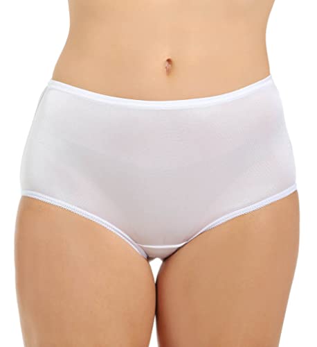 Image of Teri Women's 331 Plain Jane Classic Nylon Silky-Smooth Lightweight Breathable Full Coverage Brief Panty - 4 Pack