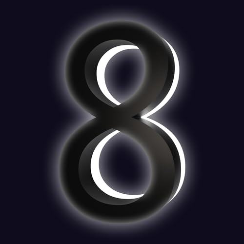 Numéro de maison DEL en acier inoxydable 15,2 cm noir de luxe