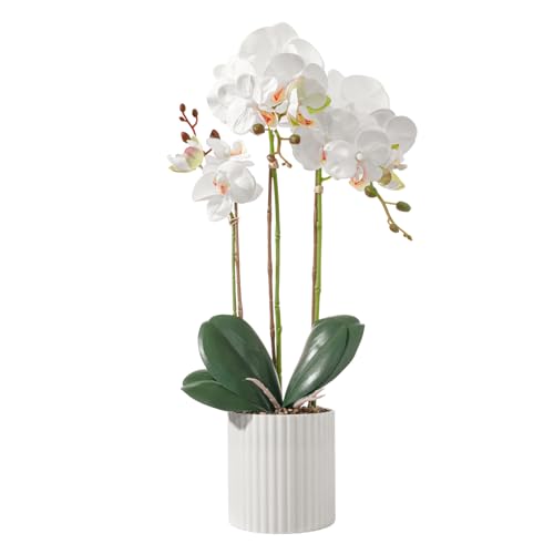 dallisten 19'' Realistic Artificial Orchid Flowers in Pots, Fake Orchid White Silk Phalaenopsis Plants for Home Decor, Wedding Centerpiece, Office & Bedroom Decoration