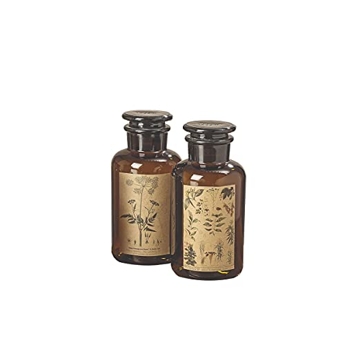 Wadiga Set de 2 Flacons d'Apothicaire Décoratifs en Verre - 18cm Cover