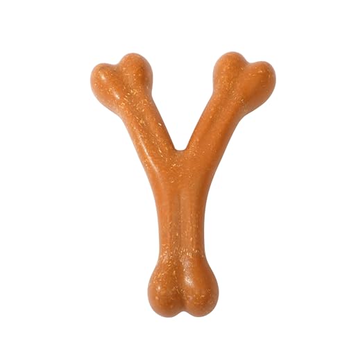 Funfy Osso per Cani a Forma di Y – Gioco per Cani in Nylon Aromatizzato, Duro e Resistente, Ideale da Masticare | Osso per Cani Piccoli e Medi, Sicuro per Masticatori Aggressivi