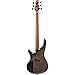 Ibanez Bass Workshop SRC6MS 6-string Multi-Scale Bass Guitar - Black Stained Burst Low Gloss