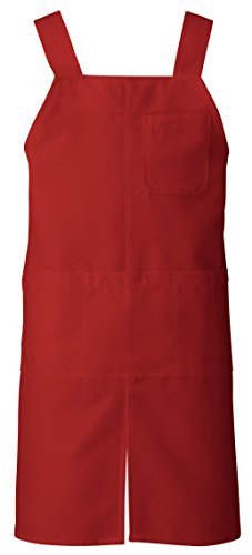 KAZEN J[ ăGvH^ AP489-81(C) TCY:L