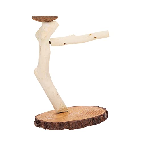 CIYODO 1Pc Bird Playstand Playground for Birds Versatile Bird Perch for Parrots Cockatiels and Budgies Encourages Balance and Coordination
