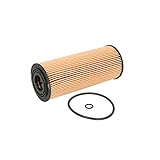 Filterausführung: Filtereinsatz