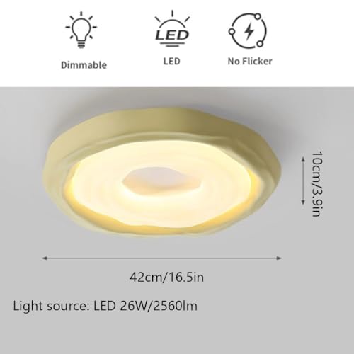 Plafonnier LED 38W économique à intensité variable