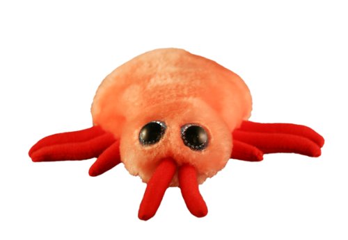 GIANTmicrobes Bed Bug Plush – Learn About This Common Crawler with This Cuddly Plush, Unique Gift for Friends, Family, Educators, Students,...