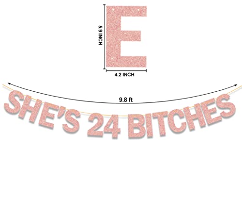 Image of She's 24 Bitches Banner 24th Birthday Decorations for Women, Funny Glitter Rose Gold Birthday Banner, 24th Birthday Banner